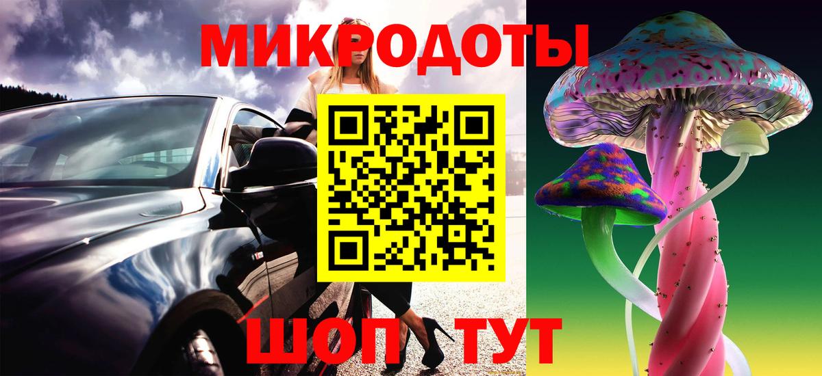 Псилоцибиновые грибы Psilocybe Ефремов