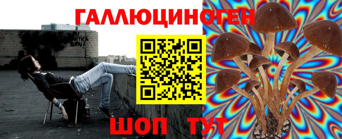 Галлюциногенные грибы Psilocybine cubensis  Вход с VPN  Псилоцибиновые грибы ЛСД  магазин продажи наркотиков  Ефремов 